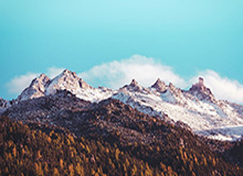 CBA-杰曼29分翟晓川15+7张宁14分 山西战胜北京